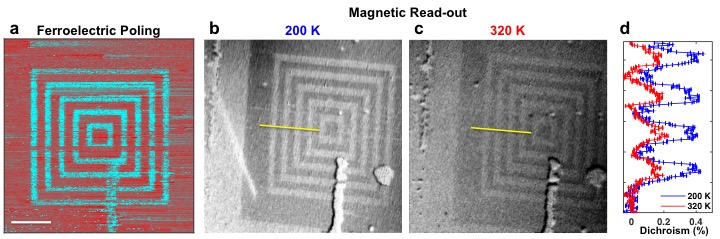 Magnetic Read-Out